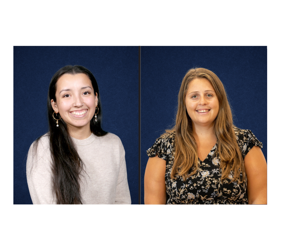 Curriculum representation blog contributors